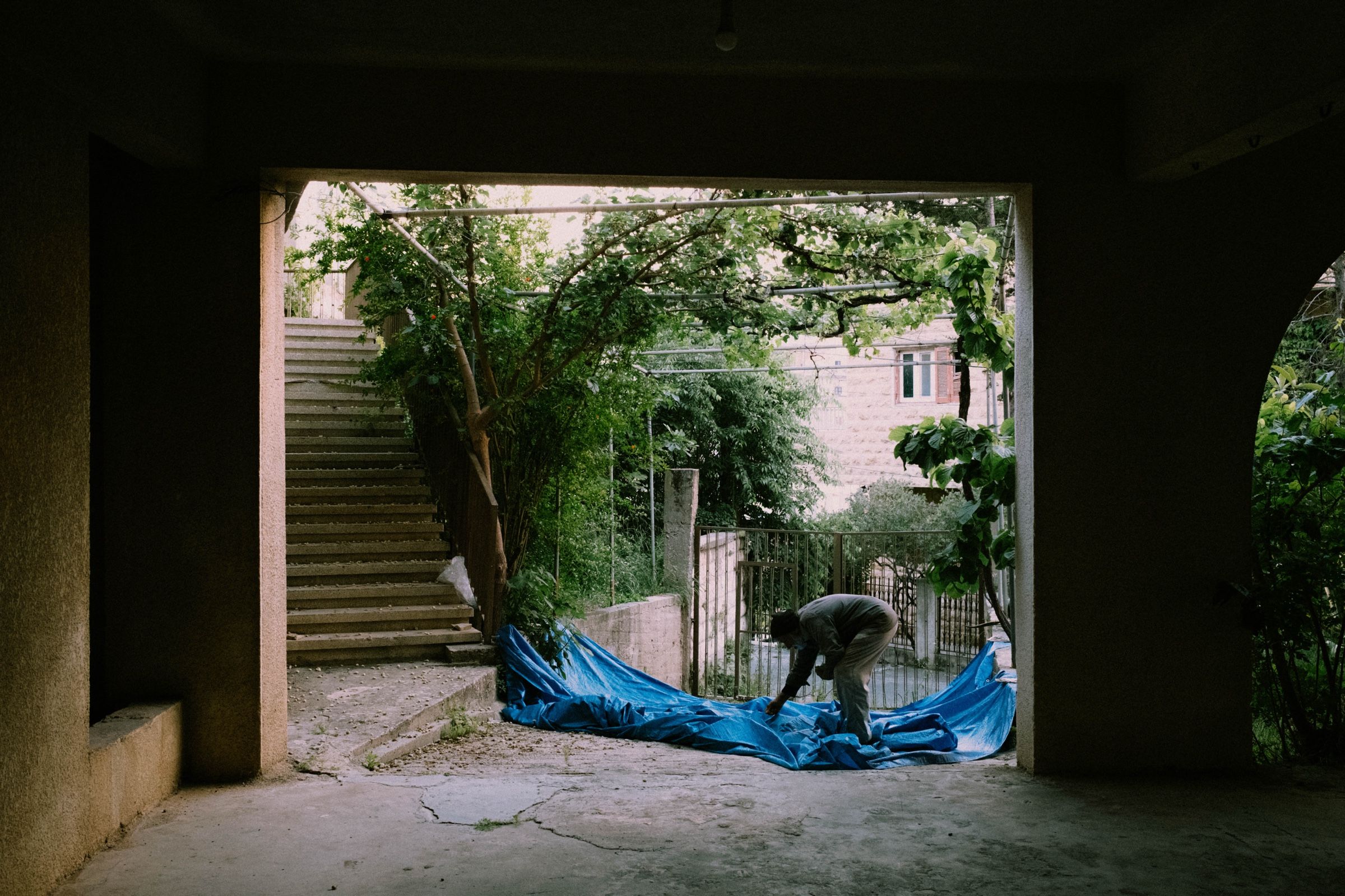 Khalil bends toward the ground, where he laid a big blue cloth under the tree to catch the ripe mulberries. Then he carefully picks them up from the cloth.