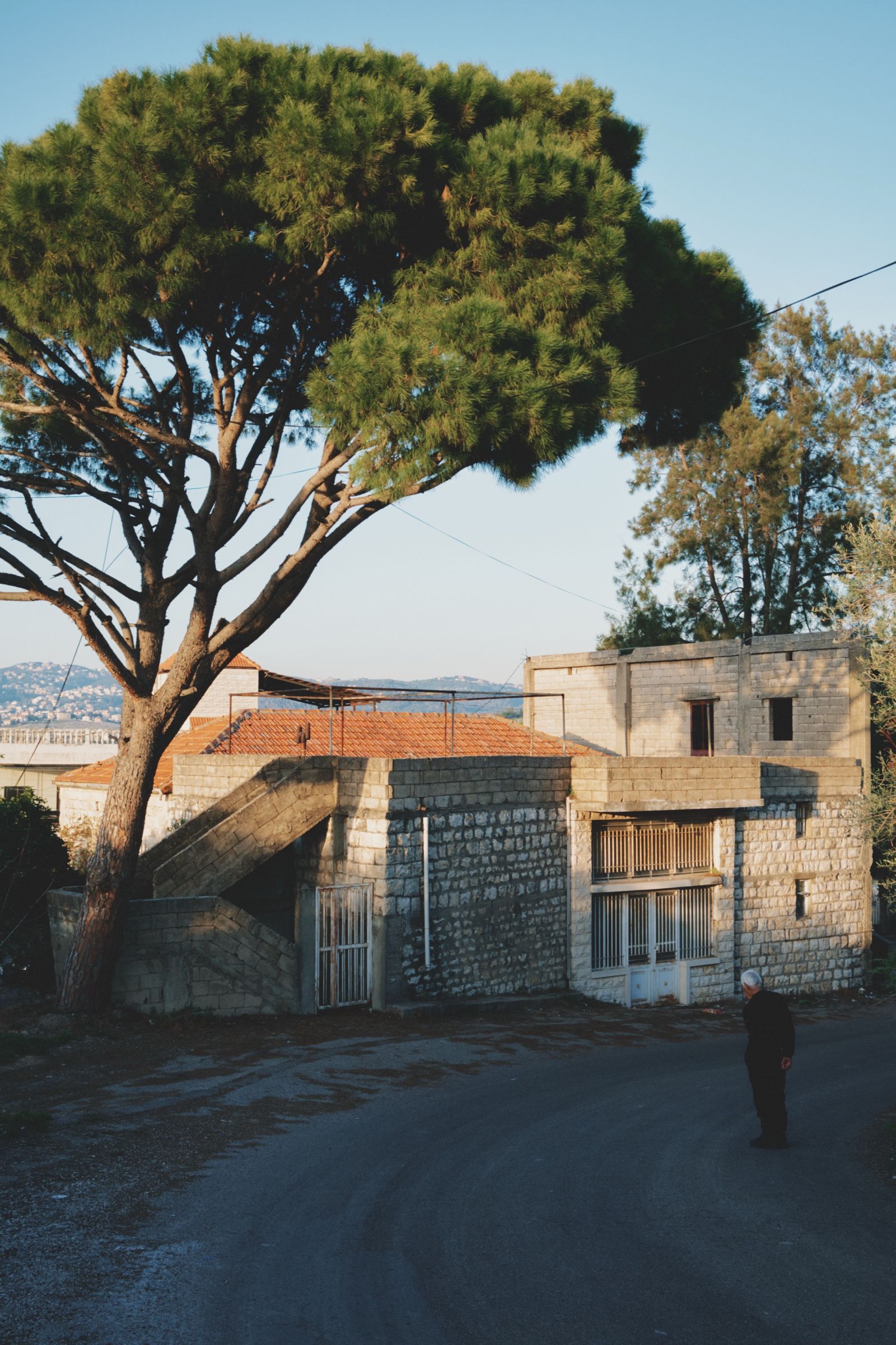 Salam — 82, one of the oldest people in Joun — walks down a village road at sunset, passing a tall pine tree and an old abandoned stone house. The town of Joun, Lebanon, 2025.