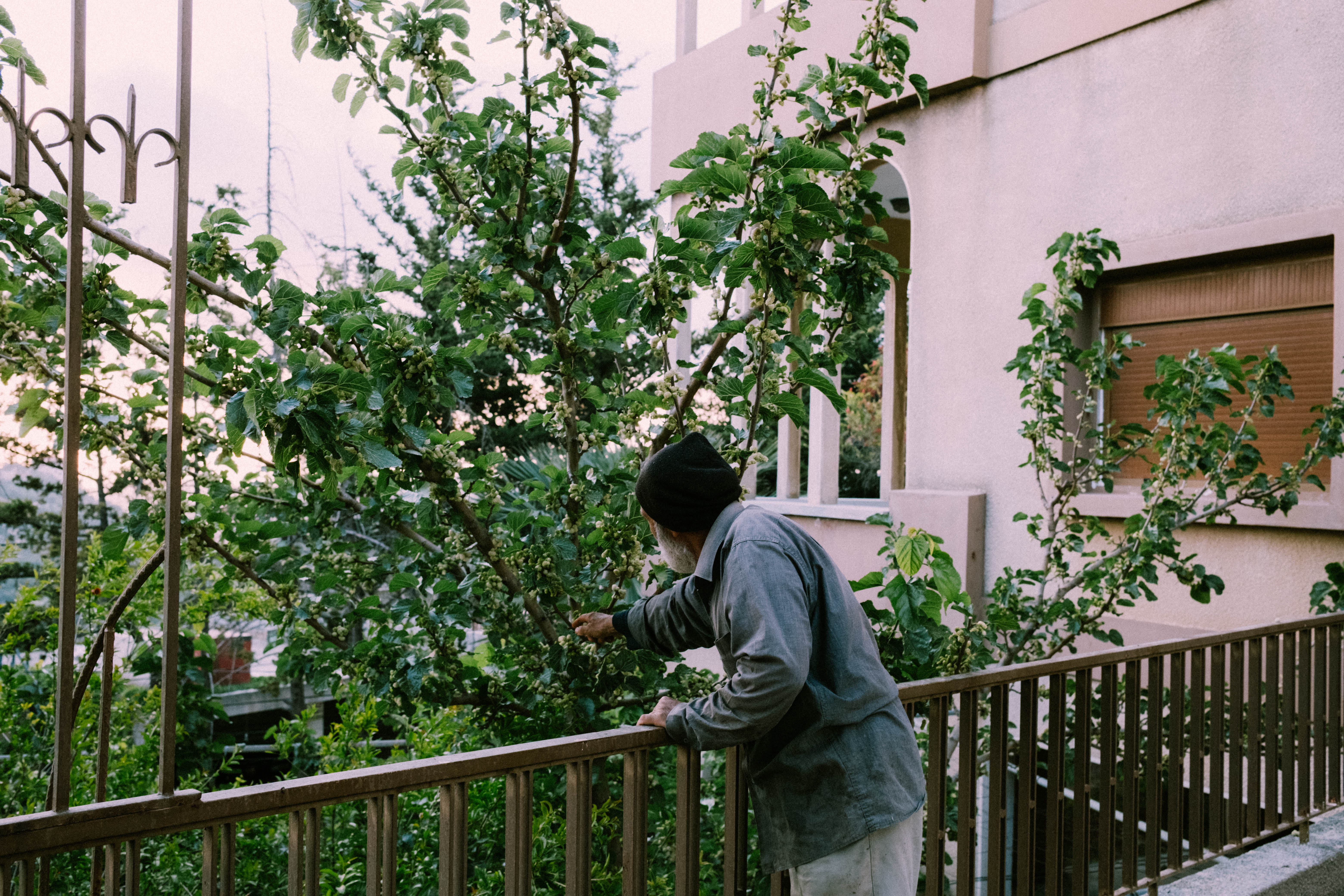 The Season of the Mulberry, 07